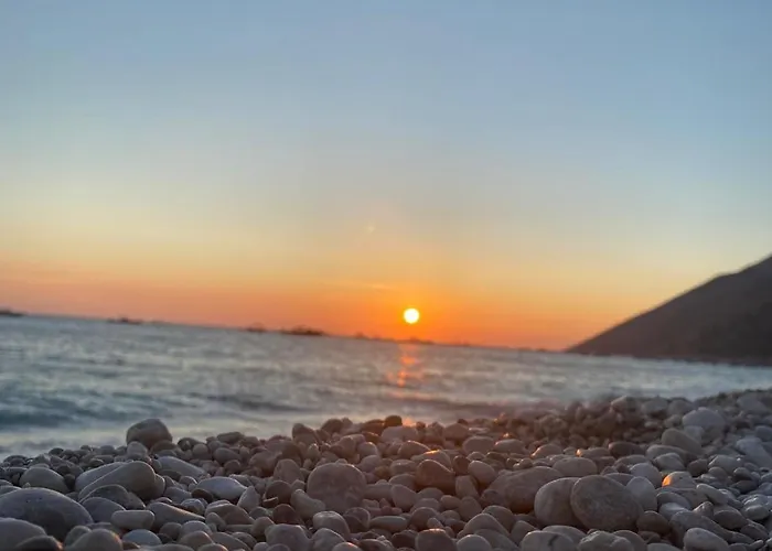 Il Nido Del Viaggiatore *