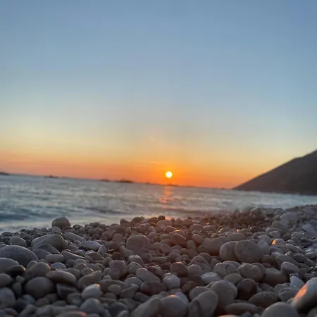 Il Nido Del Viaggiatore *